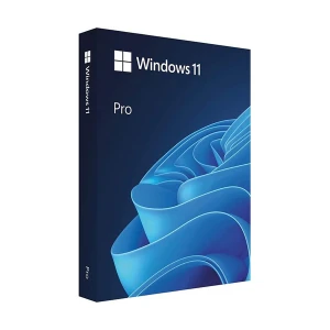 Microsoft Windows 11 Professional 64-Bit